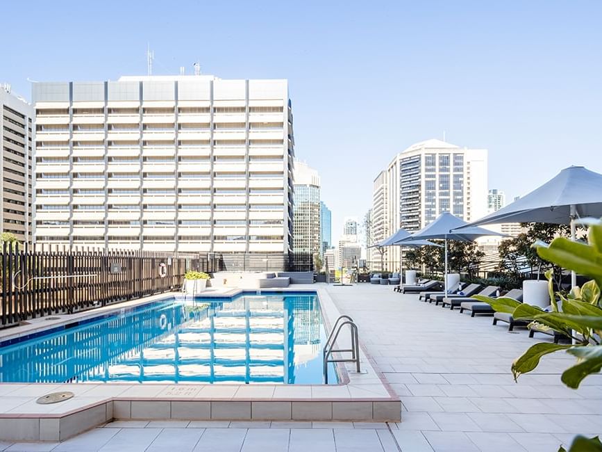 Rooftop swimming pool with lounge chairs and umbrellas, surrounded by high-rise buildings near Sofitel Brisbane Central