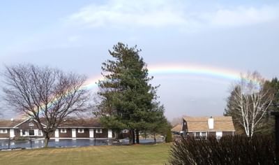 mv rainbow