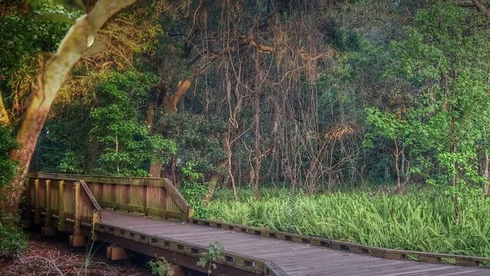 Bridge of Sawgrass Lake Park near Legacy Vacation Resorts