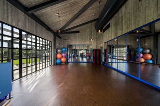 Dancing Studio with Mirrors at The Magnolia Hotel