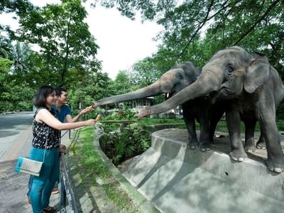 Attractions close to Sunway Clio Hotel