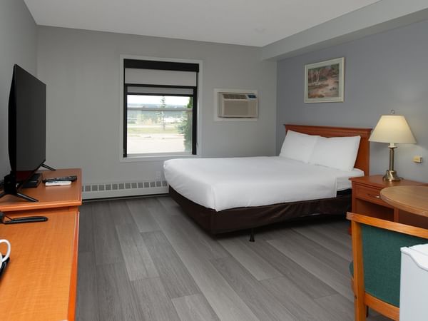 Coast Queen Pet Friendly room with queen bed, gray wood floors and TV.
