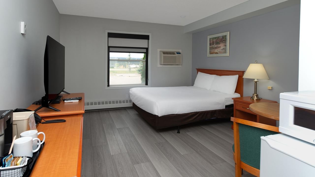 Coast Queen Pet Friendly room with queen bed, gray wood floors and TV.