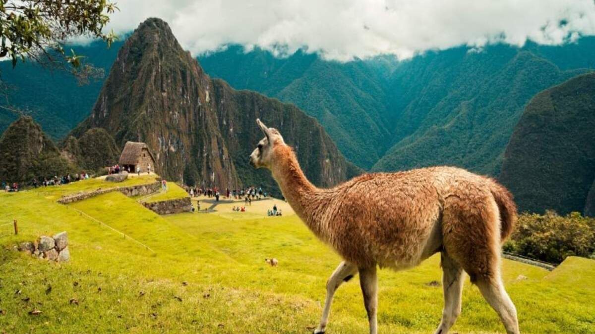 de españa a machu picchu