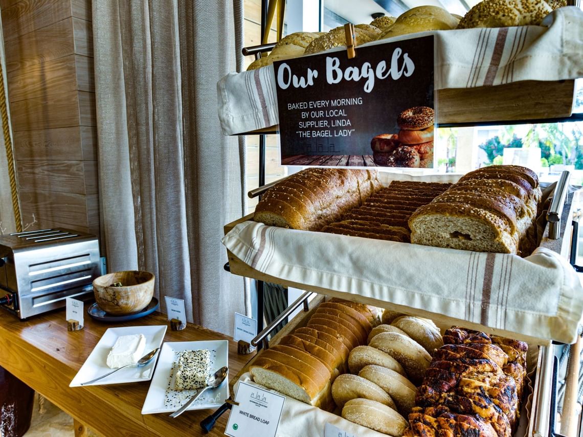 The Terrace Alaia Belize Autograph Collection