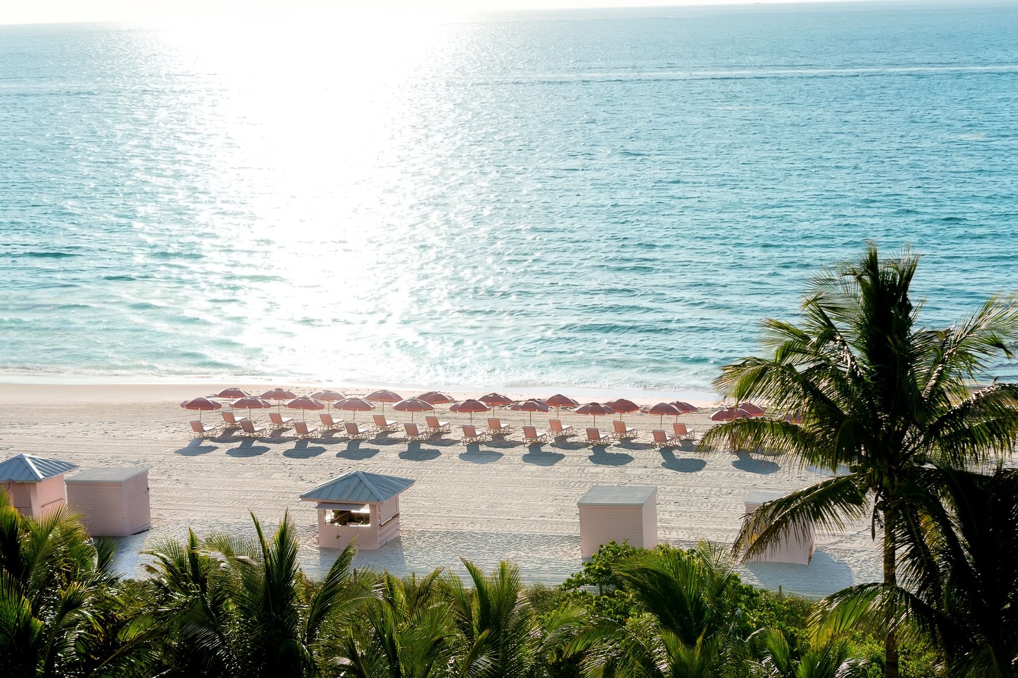 A beach with lounge chairs and umbrellas under palm trees