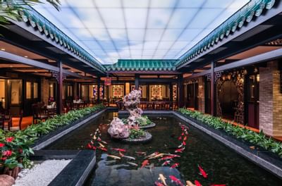 A fish pond in Jade River restaurant at White Swan hotel