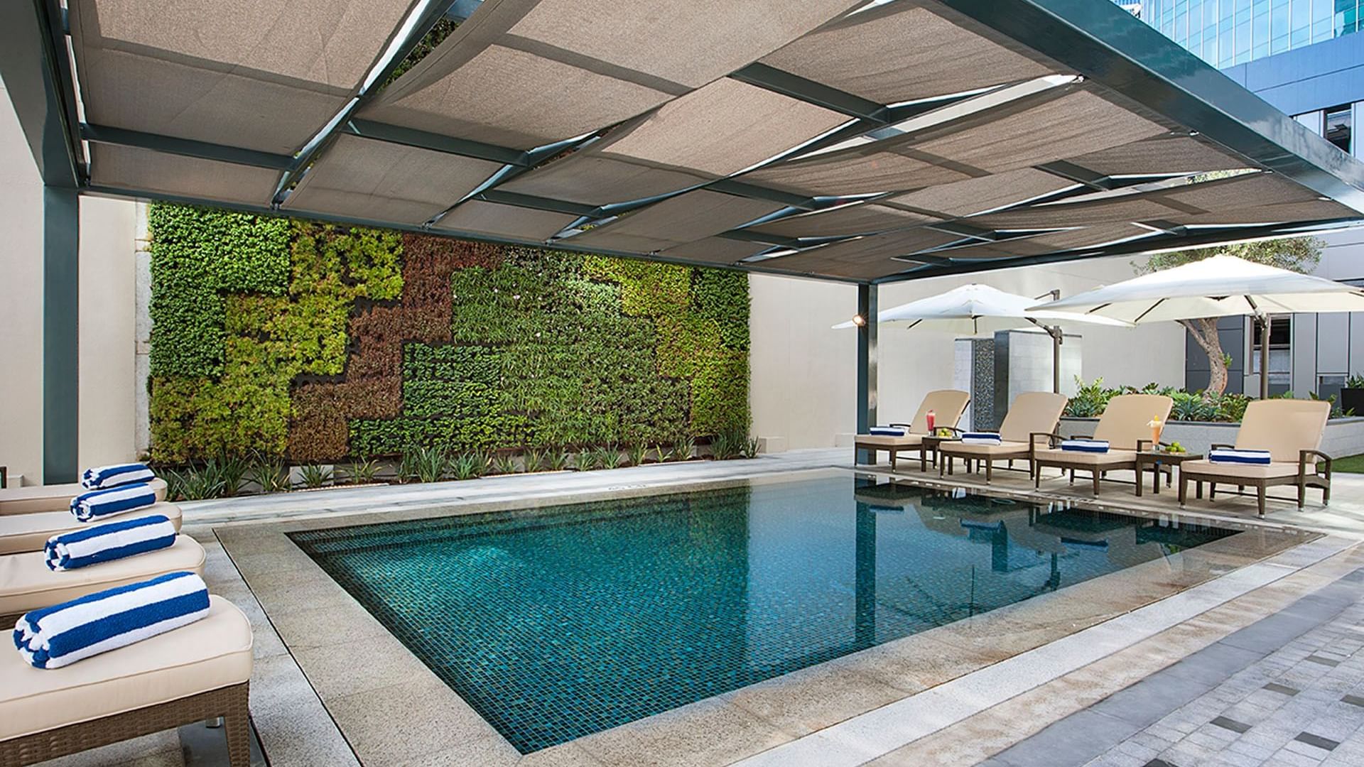 Pool area with lounge chairs & umbrellas set against a green wall at DAMAC Maison Cour Jardin