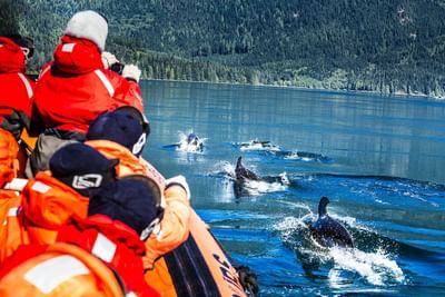 Whale_Watching