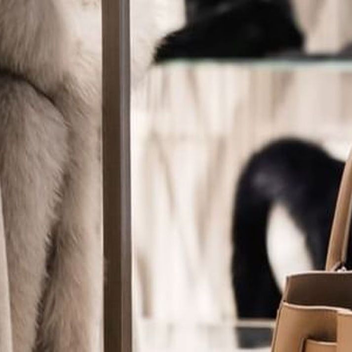 Luxury fur coats and designer handbags on display at Hotel Barsey by Warwick 