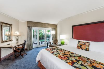 Signature poolside resort room at Safety Harbor & Resort