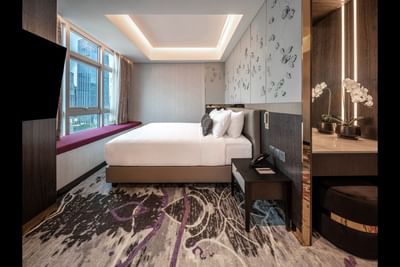 Suite Room