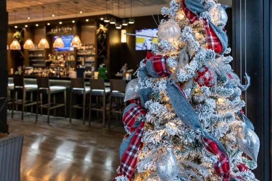 Snow-dusted Christmas tree decorated with red and grey ribbons standing in a bar interior at Rodd Hotels & Resorts