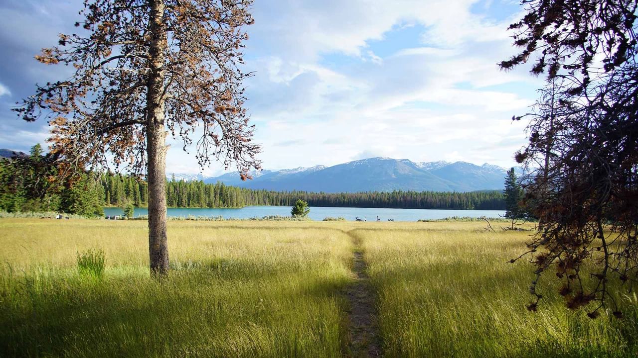 Annette Lake in Japer National Park 