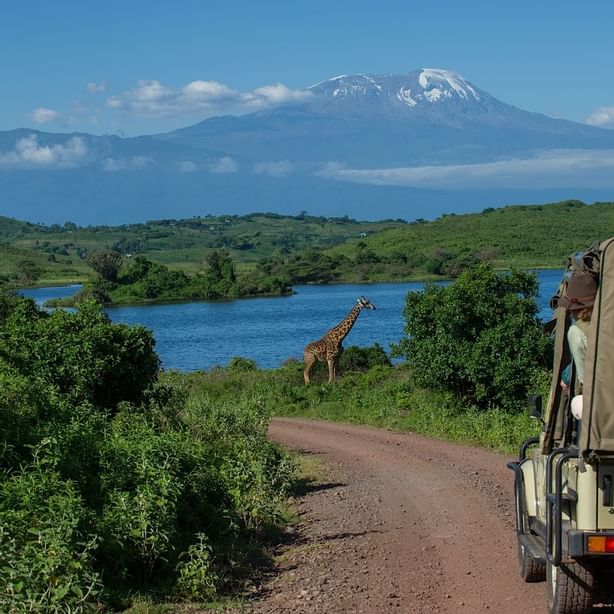 A Cruise at the Arusha National Park near Arusha Serena Hotels