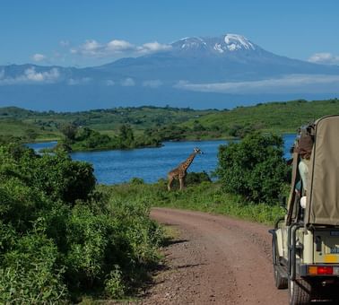 A Cruise at the Arusha National Park near Arusha Serena Hotels
