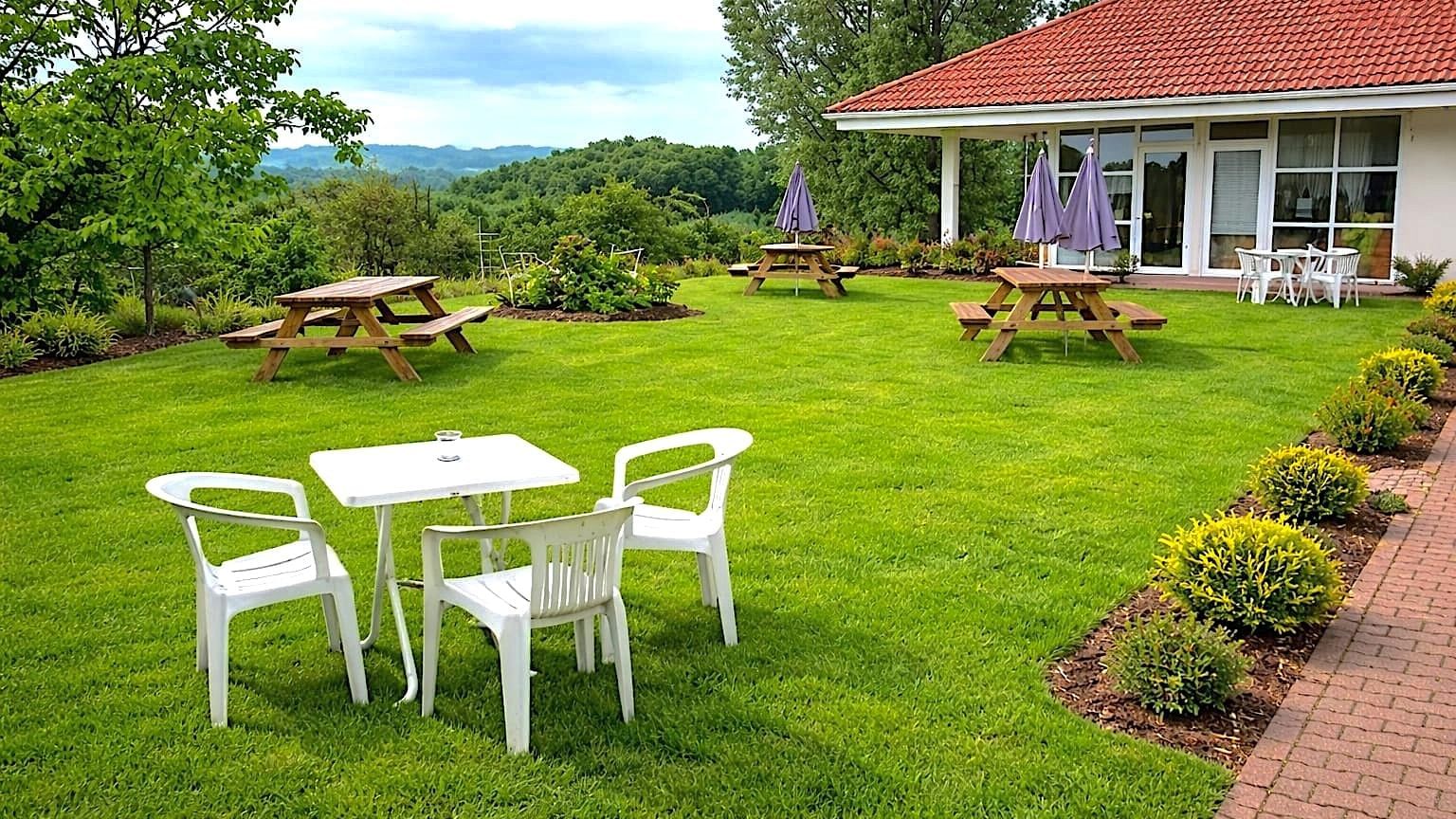 Terrasse verdoyante avec tables, chaises et buissons fleuris à Hôtel Tulle.