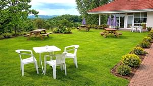 Terrasse verdoyante avec tables, chaises et buissons fleuris à Hôtel Tulle.
