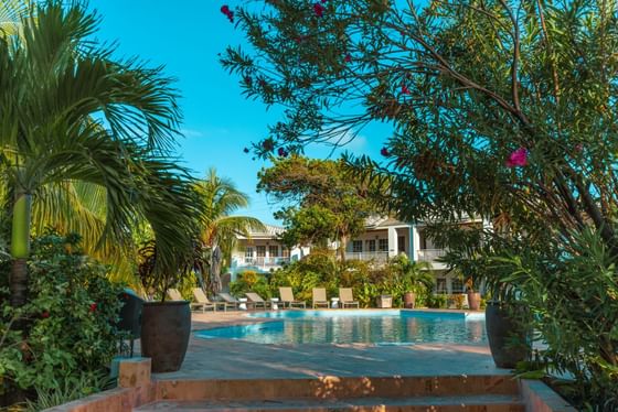 Outdoor Resort Pool with loungers at Alaia Belize Autograph Collection