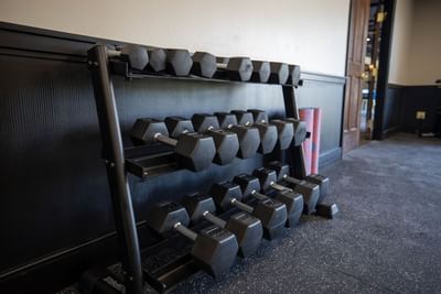 a row of dumbbells
