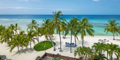 Arial of Beach