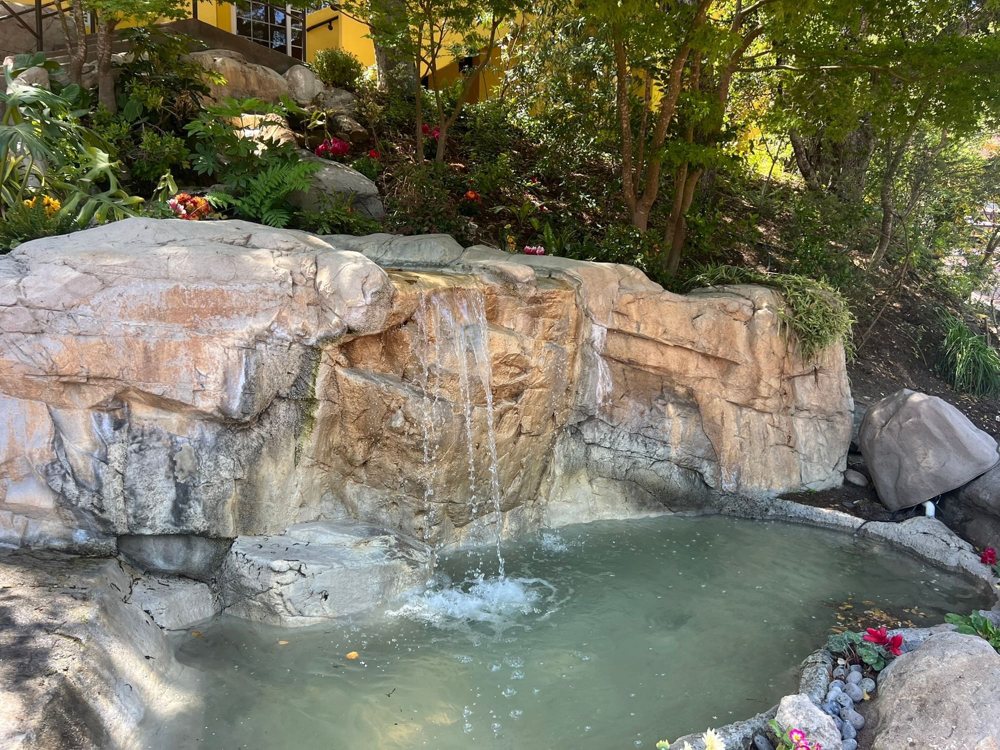 Sycamore Mineral Springs rock waterfall with flowers
