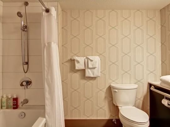 Toilet and shower tub