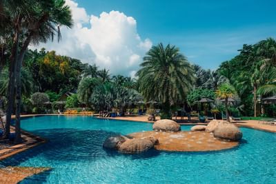 Coconut Pool with coconut and palm trees surrounded at Paradox Resort Phuket
