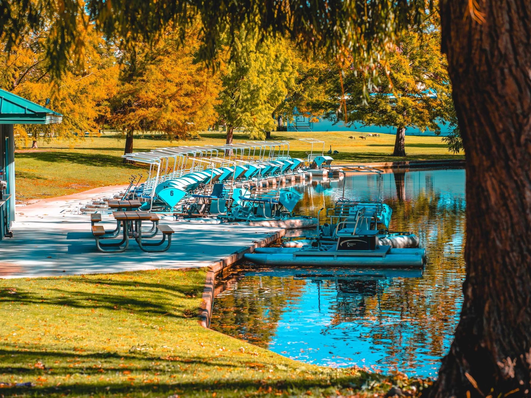 Row of pedal boats on lake in a colorful autumn park near Hotel 43