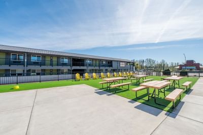 Yellow Adirondack chairs and picnic tables on a green turf patio at The Varsity South