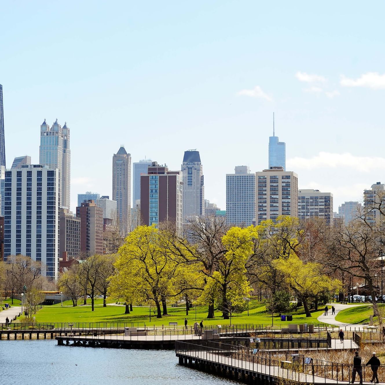 Chicago Skyline