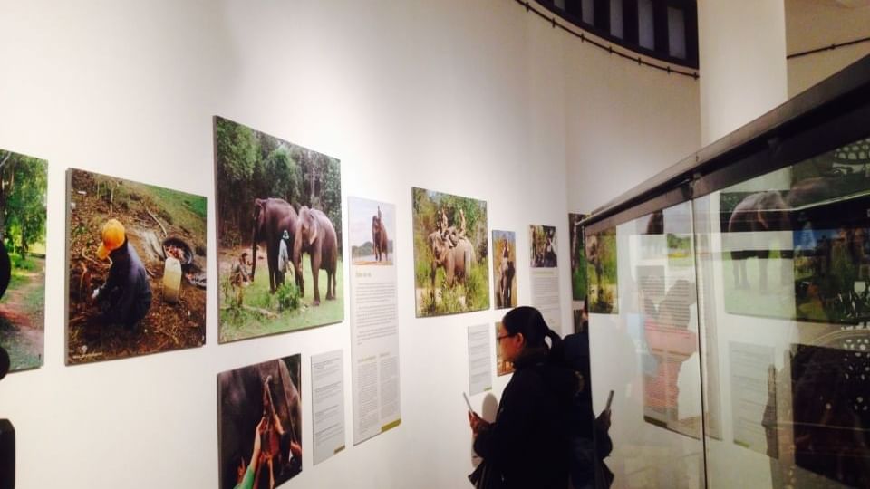 Woman reading posters on the wall in Vietnam Museum of Ethnology near Sunway Hotel Hanoi