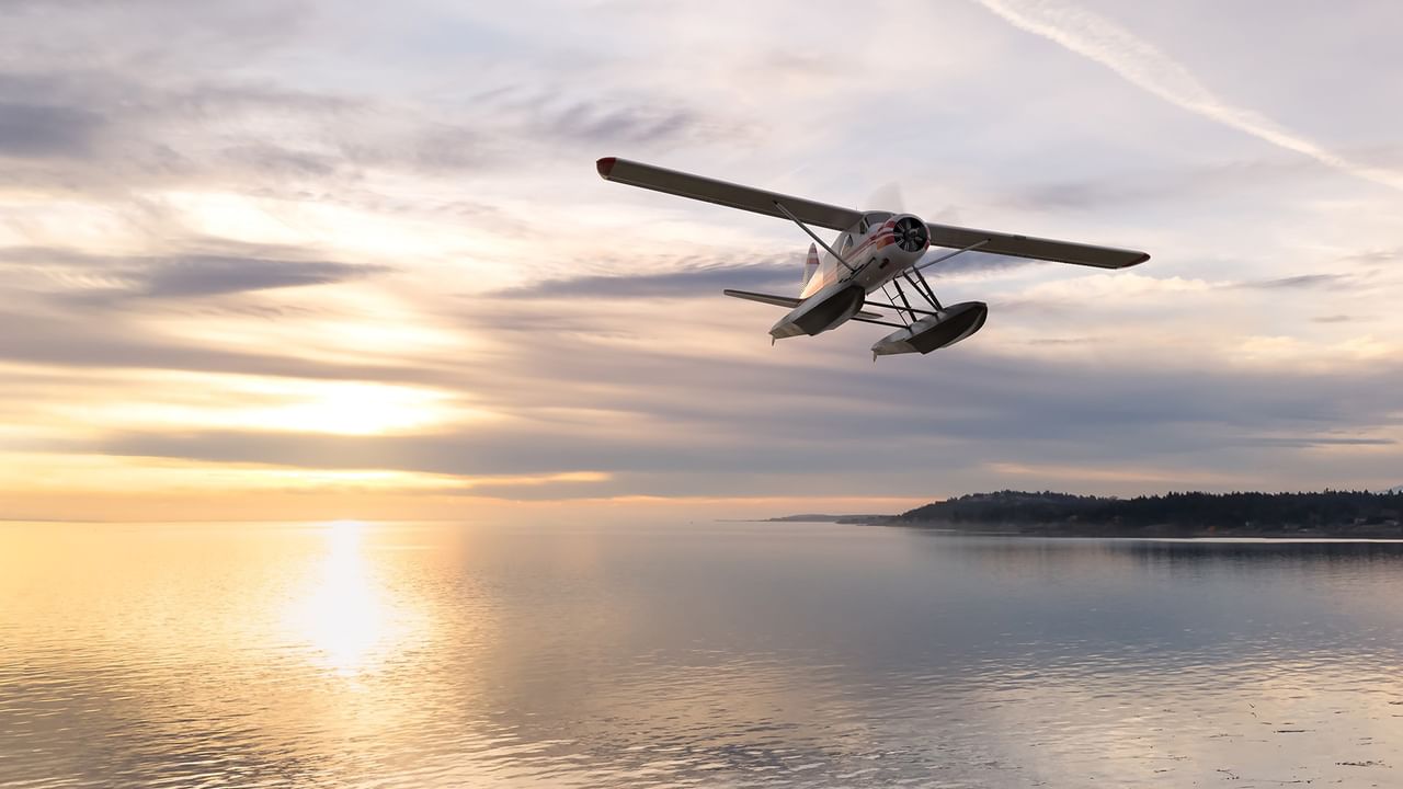 A seaplane flies low over calm coastal waters at sunset with forested shoreline in the distance