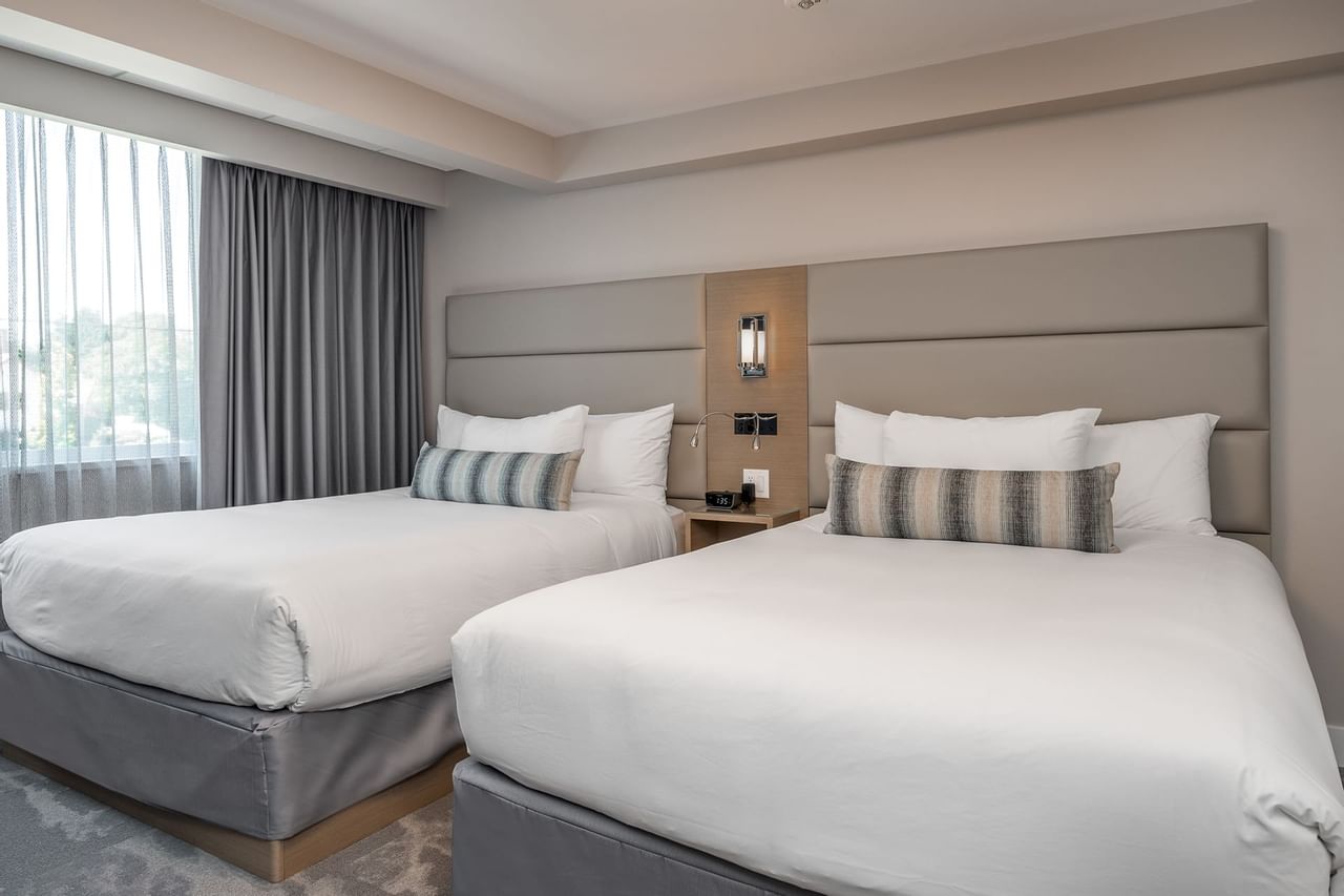 Coast Premium Two Queens Suite