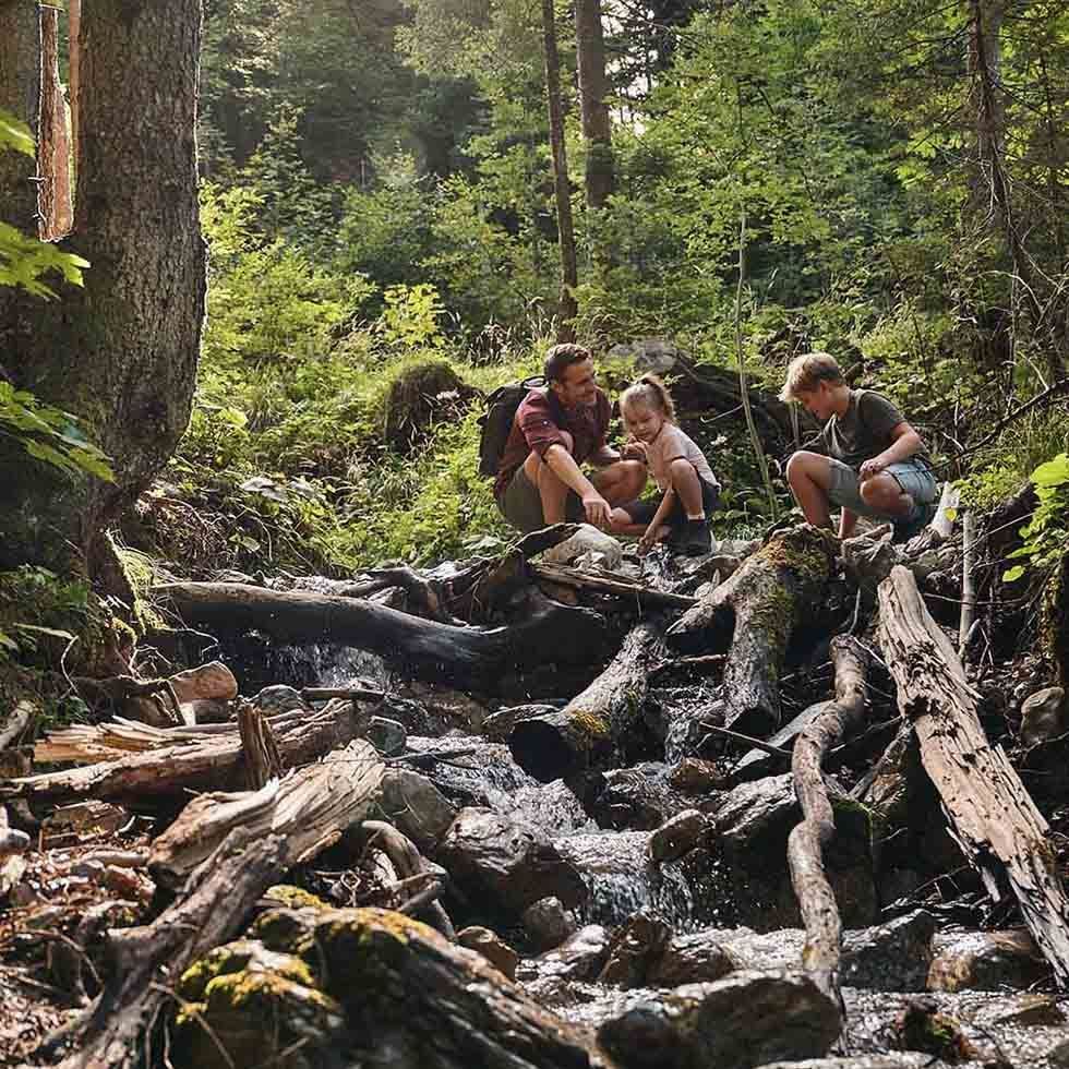 Tre persone esplorano un ruscello nella foresta, circondate da alberi e vegetazione.