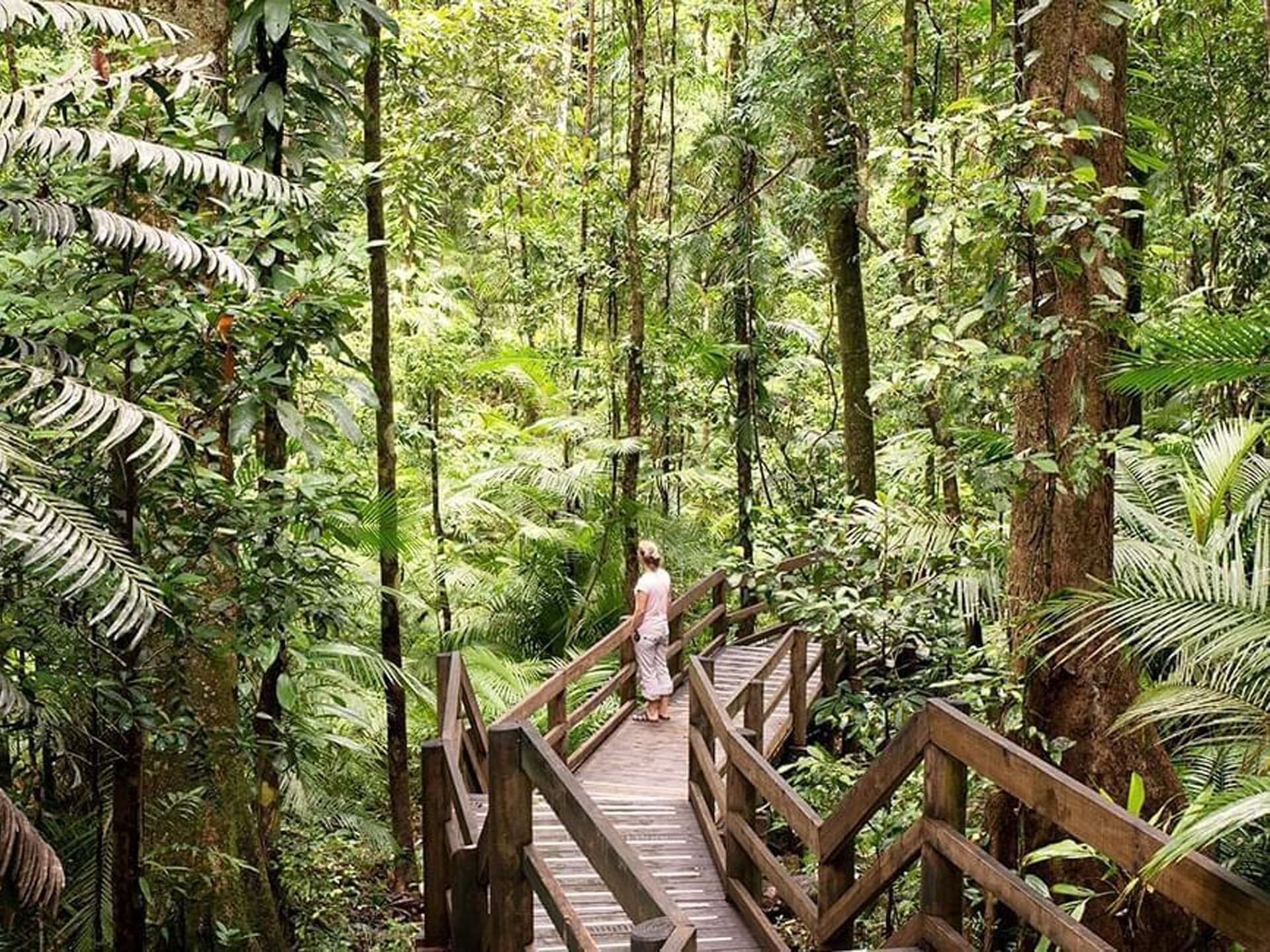 A lady in Daintree National Park near Silkari Reflections