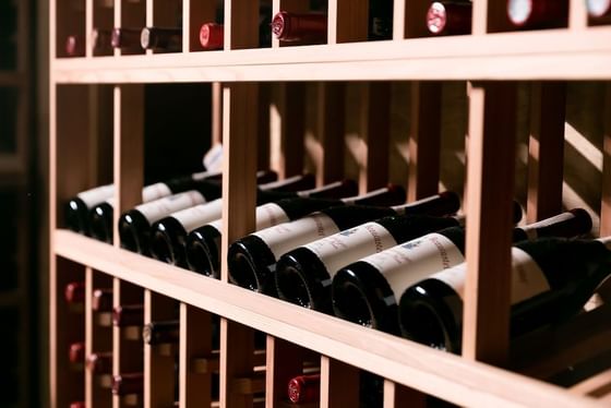 Stein Eriksen Lodge Wine Cellar 