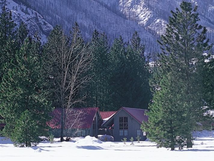 Snow mountain near the Sleeping Lady with trees 