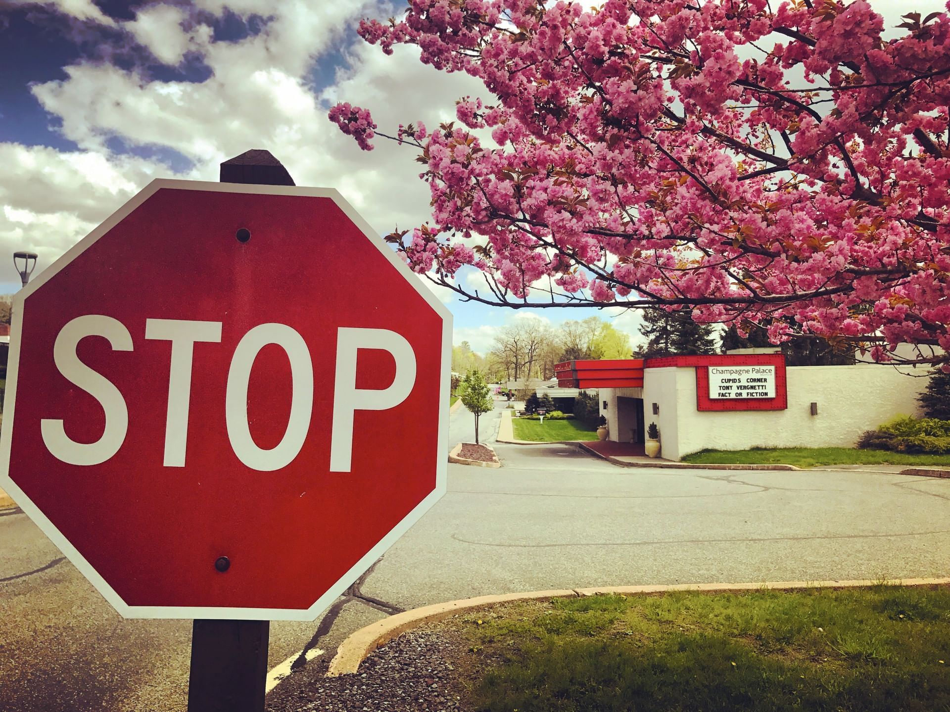 Close-up of stop sign near Cove Haven Resort