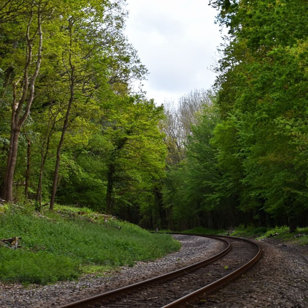 Gailtal valley rail cycle by a lush green forest near Falkensteiner Hotel & Spa Carinzia