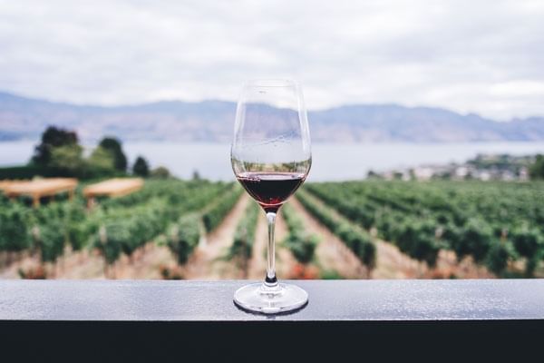 Hunter Valley Wine Region near Fullerton Group