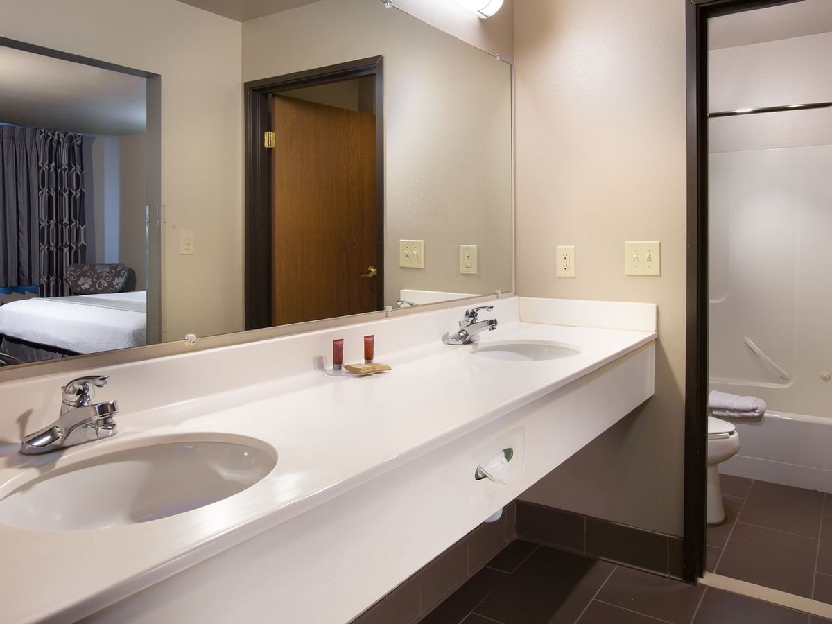 Bathroom sink and mirror