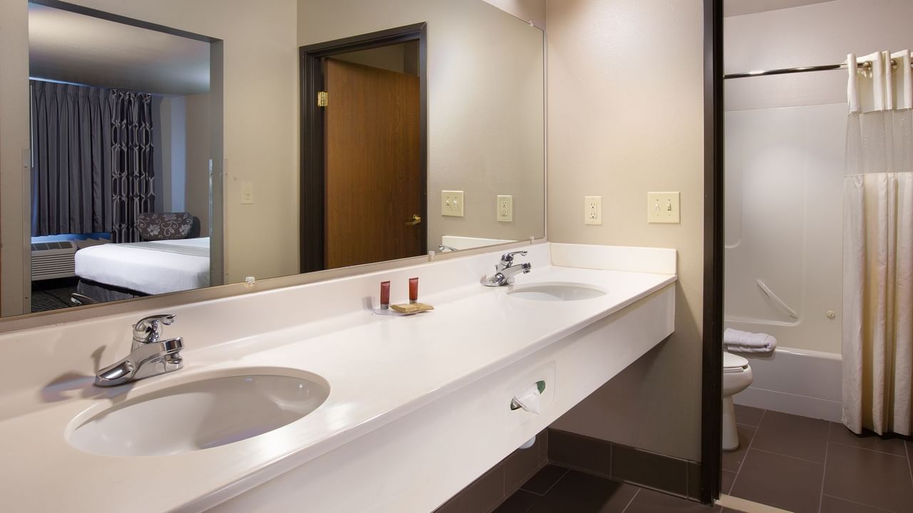 Bathroom sink and mirror