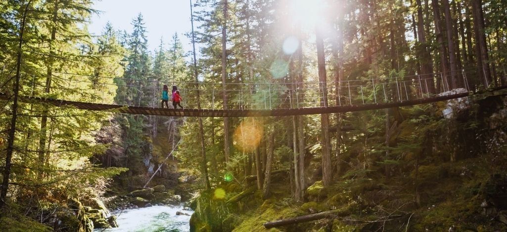 Hikers crossing a suspension bridge on Whistler’s Train Wreck Trail.