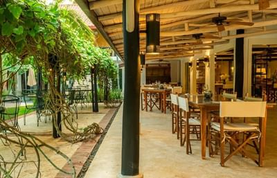 Inviting outdoor dining area at La Casita by the Hub, one of the best restaurants in Bayahibe, with lush greenery
