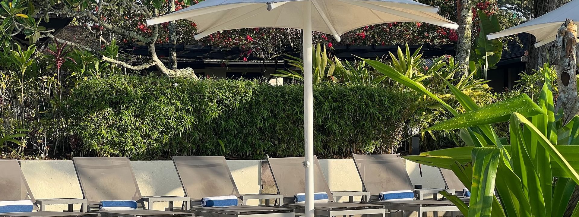 Umbrellas and lounge chairs by the pool and terrace beach at Warwick Le Lagon - Vanuatu in Efate