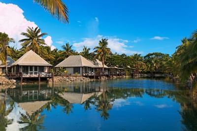 Lagoon Bures with white roofs on a tropical coast surrounded by trees at Musket Cove Island Resort & Marina