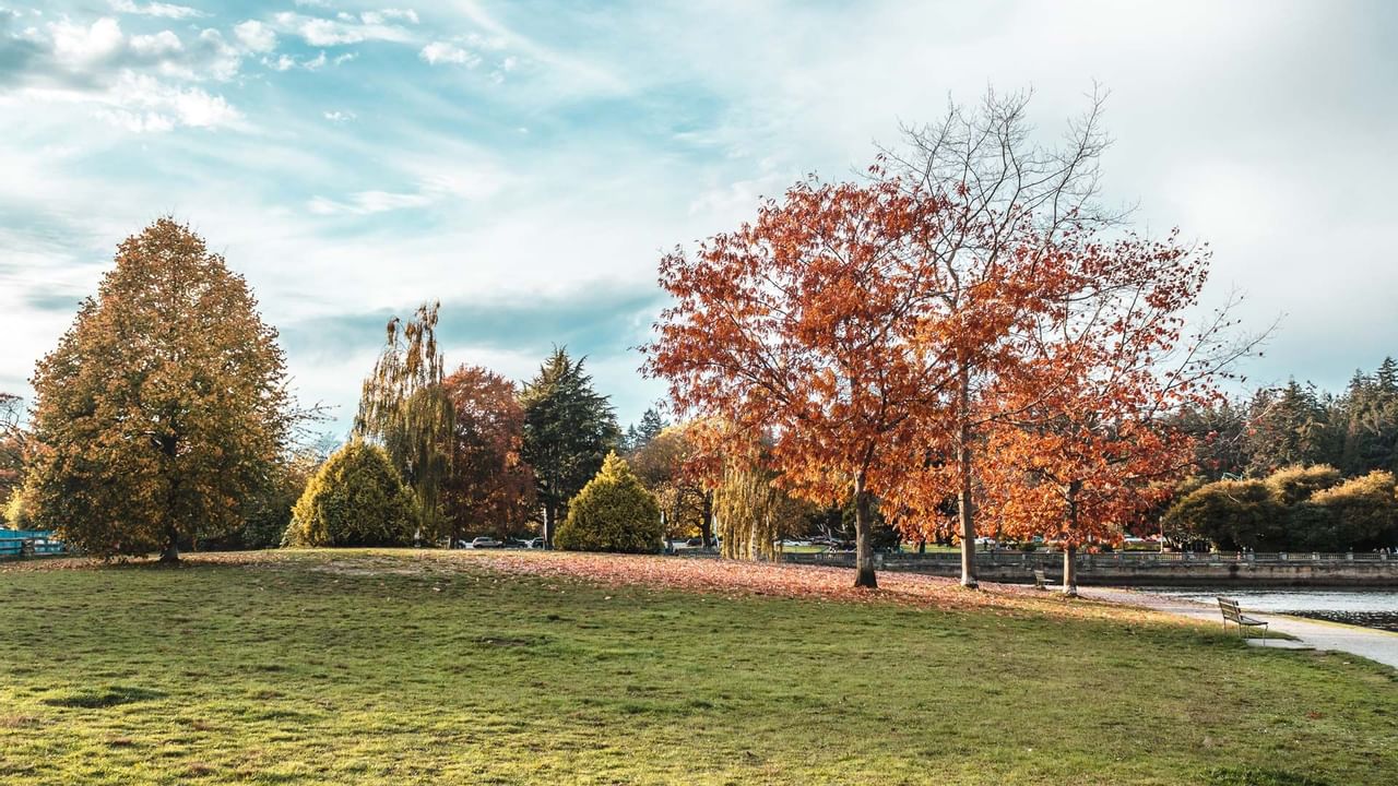 Devonian Harbour Park with trees and Stanley Park in the background