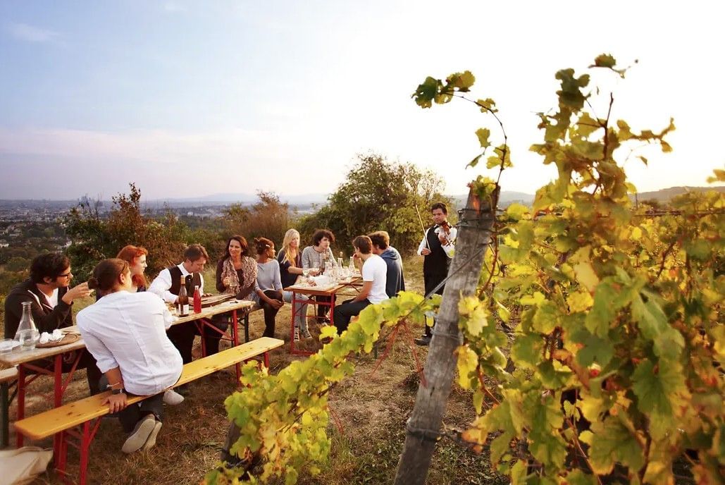 Social evening in a vineyard with views over Vienna and atmospheric sunset light