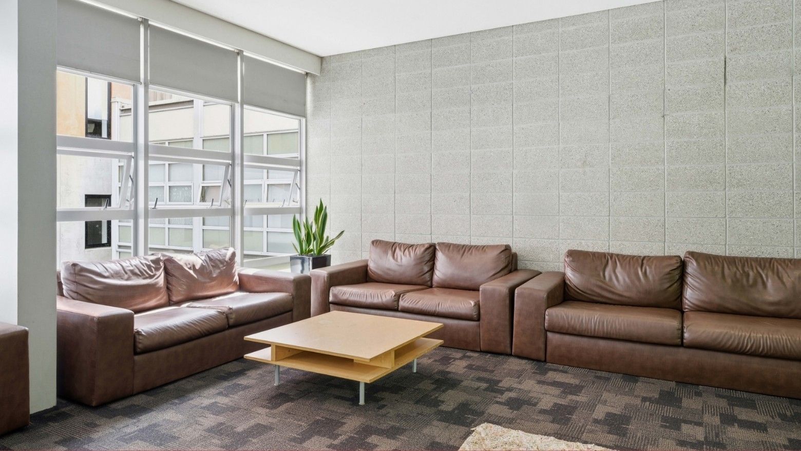 Brown couches and coffee table in a lounge area at Student Living Auckland – Anzac.